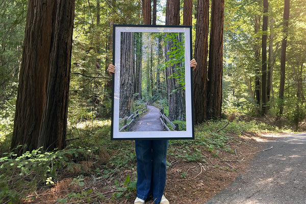 Forest wall art - what to look for | Inframe house