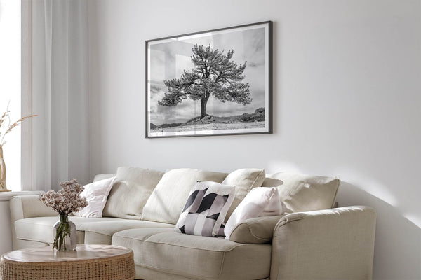 How to choose nature wall art