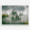 Fine art photography of a misty forest in Alaska, with the tops of trees on a mountain shrouded in white dreamlike fog.
