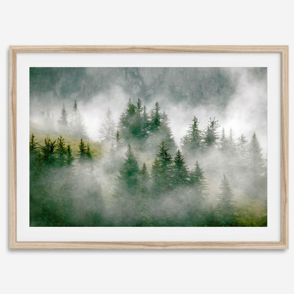 Fine art photography of a misty forest in Alaska, with the tops of trees on a mountain shrouded in white dreamlike fog.