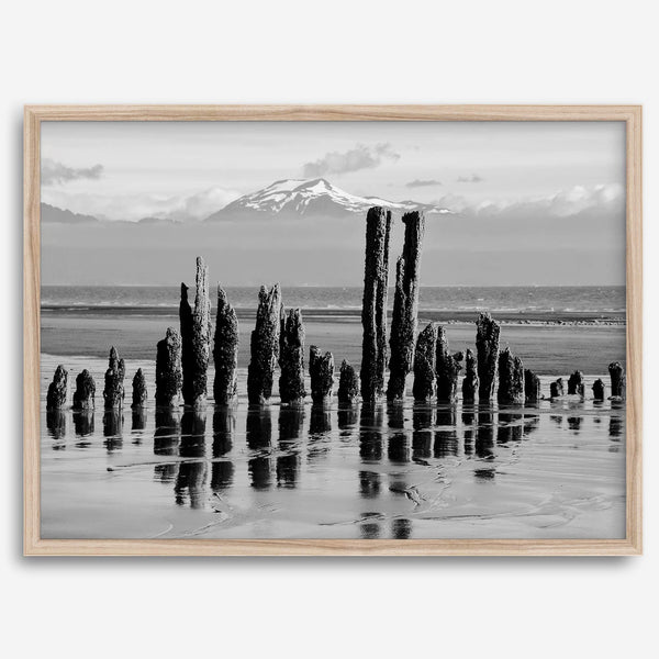 Black and white photo of weathered pilings on an Alaskan beach with snow-capped mountains in the background – fine art print.