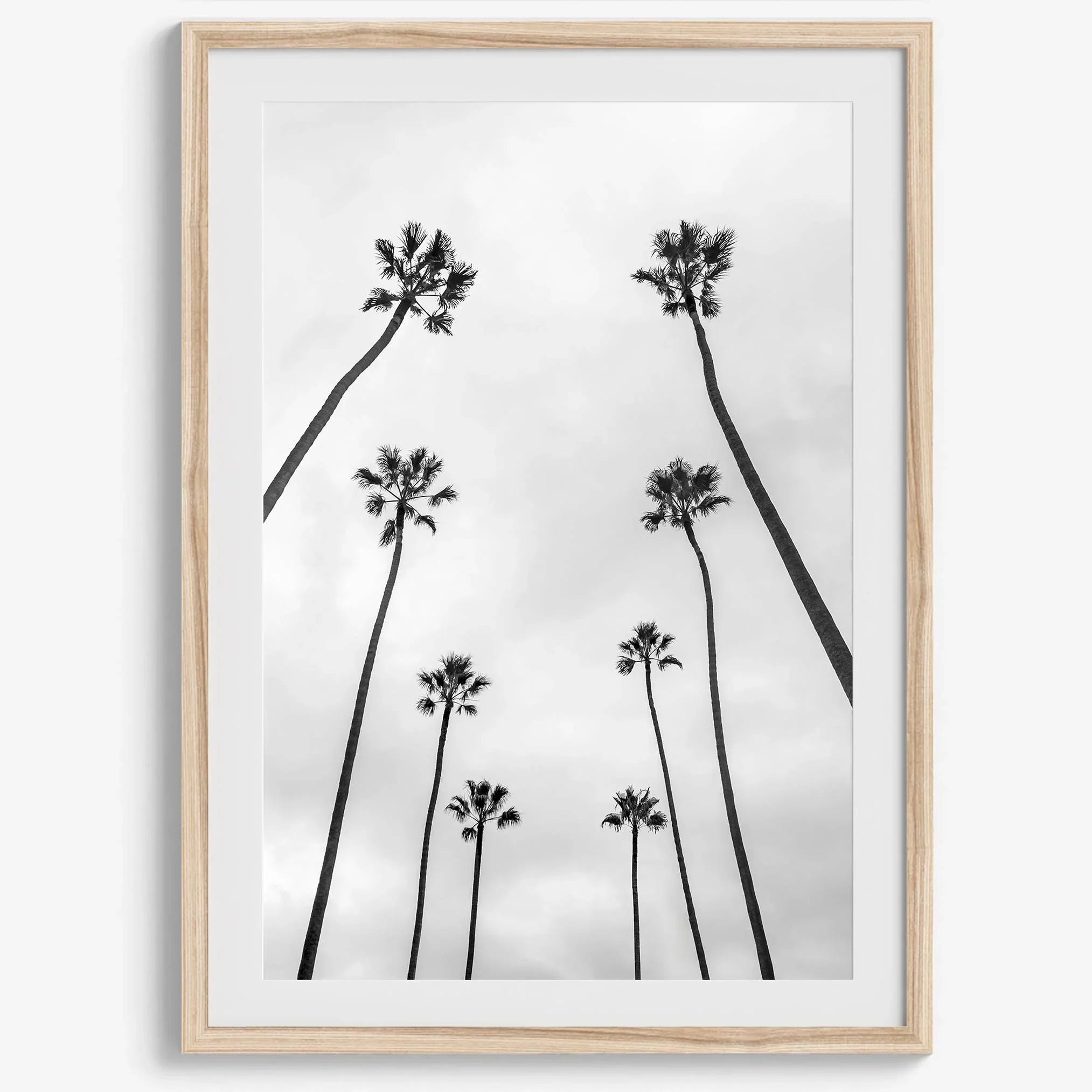 Palm Tree Wall Art - Wow Photo Art