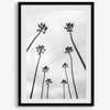 Palm Tree Wall Art - Wow Photo Art