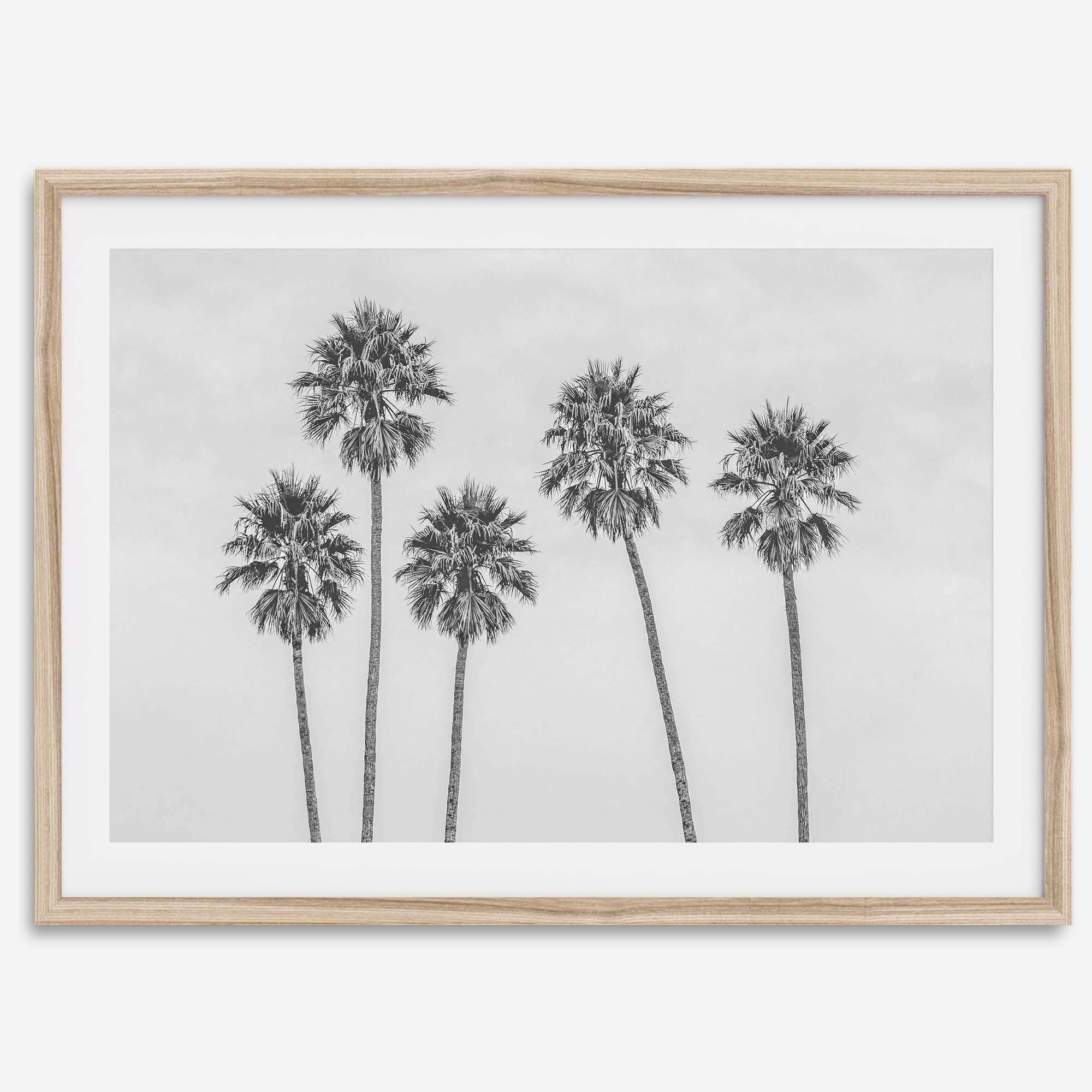 Black and White Palm Tree Fine Art Print - Minimalist Palm Trees Wall Art, Los Angeles Landscape Photography Art Print, Coastal Home Decor