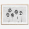 Black and White Palm Tree Fine Art Print - Minimalist Palm Trees Wall Art, Los Angeles Landscape Photography Art Print, Coastal Home Decor