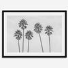 Black and White Palm Tree Fine Art Print - Minimalist Palm Trees Wall Art, Los Angeles Landscape Photography Art Print, Coastal Home Decor
