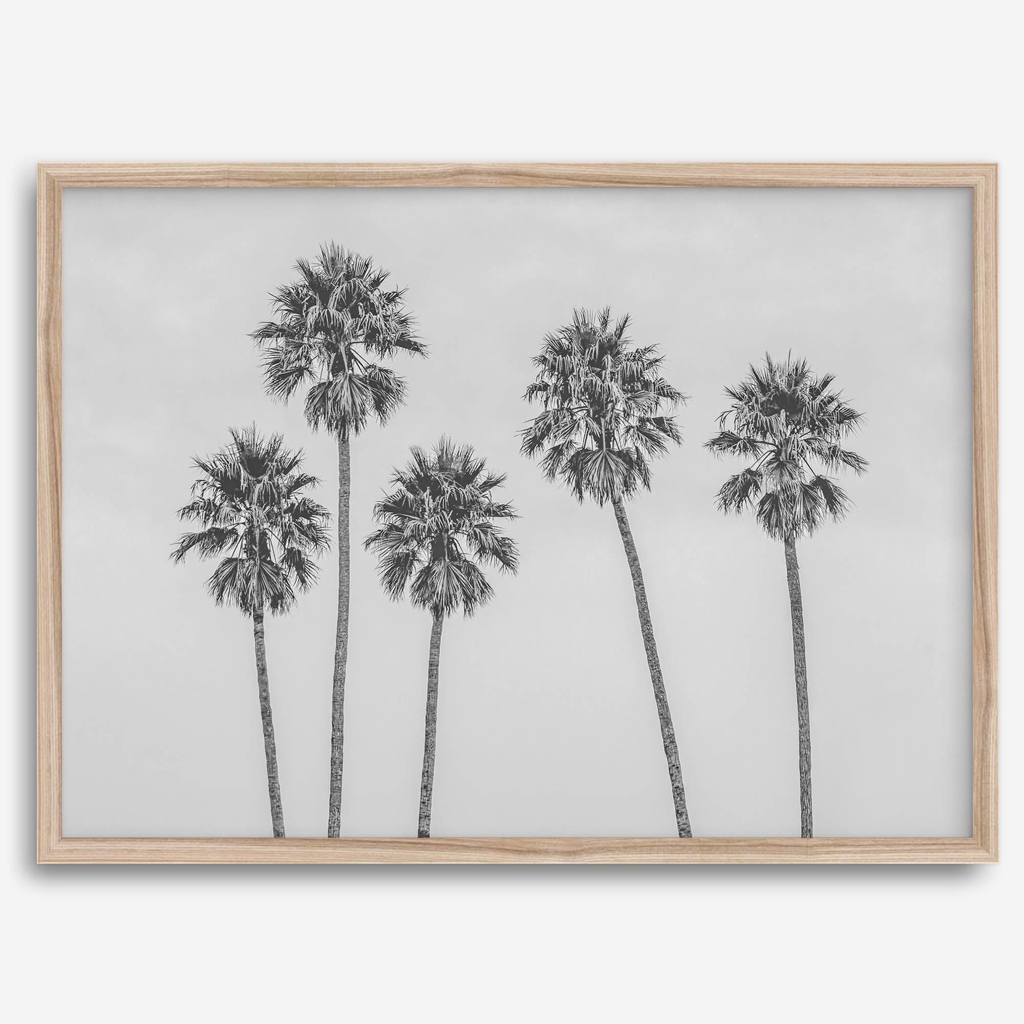 Black and White Palm Tree Fine Art Print - Minimalist Palm Trees Wall Art, Los Angeles Landscape Photography Art Print, Coastal Home Decor