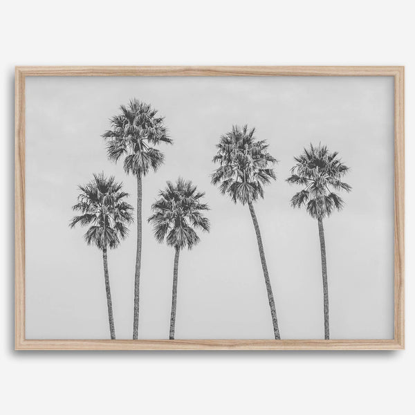 Black and White Palm Tree Fine Art Print - Minimalist Palm Trees Wall Art, Los Angeles Landscape Photography Art Print, Coastal Home Decor