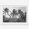 Black and white fine art photography print of towering palm trees silhouetted against tropical mountains. The scene captures the dramatic beauty of Tunnels Beach, Kauai, Hawaii.