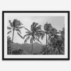 Black and white fine art photography print of towering palm trees silhouetted against tropical mountains. The scene captures the dramatic beauty of Tunnels Beach, Kauai, Hawaii.