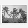 Black and white fine art photography print of towering palm trees silhouetted against tropical mountains. The scene captures the dramatic beauty of Tunnels Beach, Kauai, Hawaii.