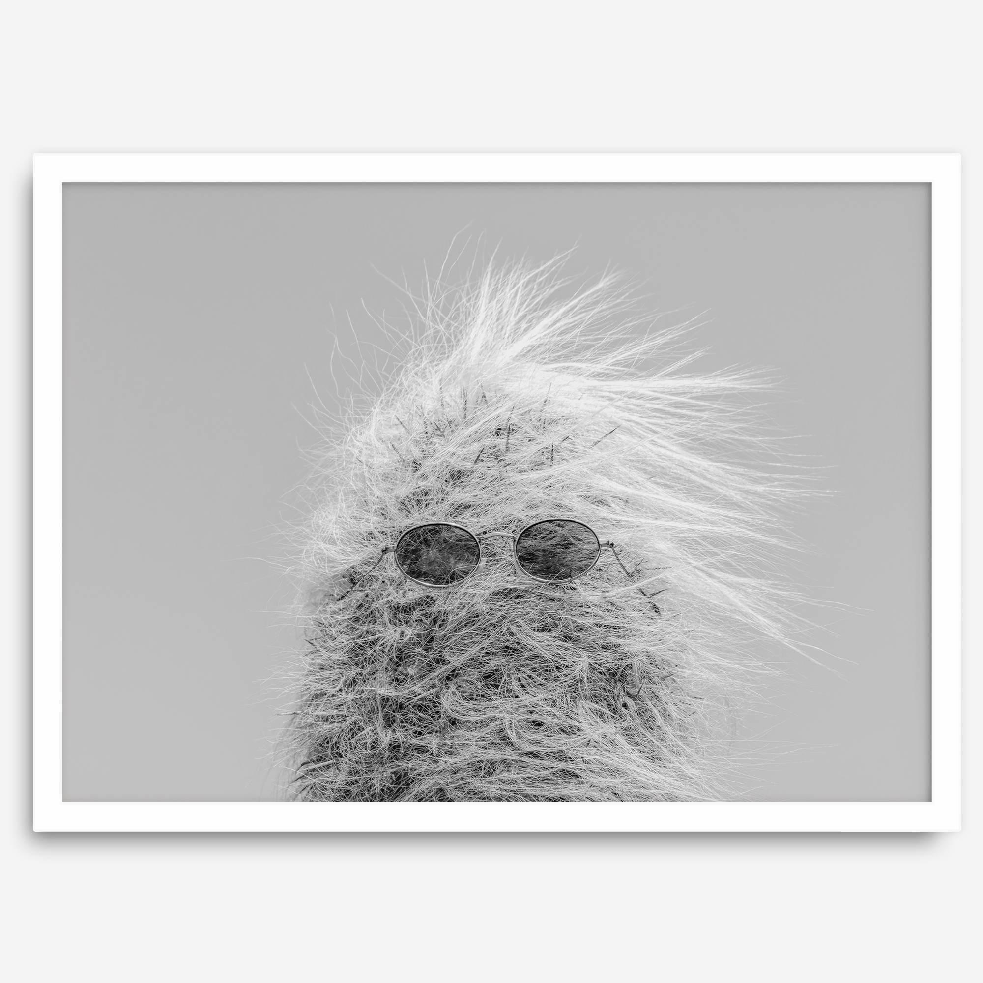 Black-and-white cactus print featuring a windswept cool cactus with sunglasses in a minimalist desert setting.