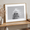 Black-and-white cactus print featuring a windswept cool cactus with sunglasses in a minimalist desert setting.