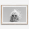 Black-and-white cactus print featuring a windswept cool cactus with sunglasses in a minimalist desert setting.