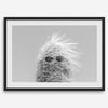 Black-and-white cactus print featuring a windswept cool cactus with sunglasses in a minimalist desert setting.