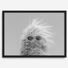 Black-and-white cactus print featuring a windswept cool cactus with sunglasses in a minimalist desert setting.