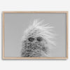 Black-and-white cactus print featuring a windswept cool cactus with sunglasses in a minimalist desert setting.