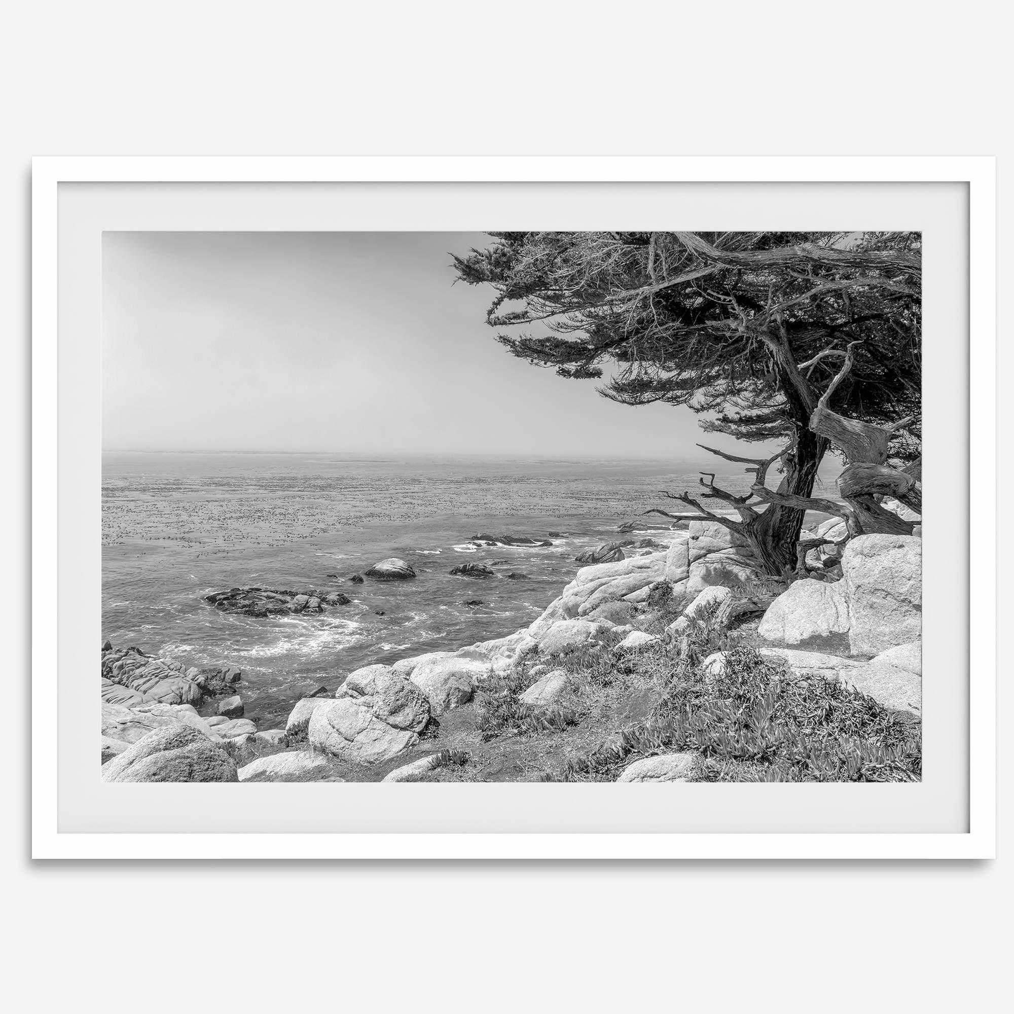 Black and white coastal art featuring Pebble Beach’s rocky shoreline and ocean view.