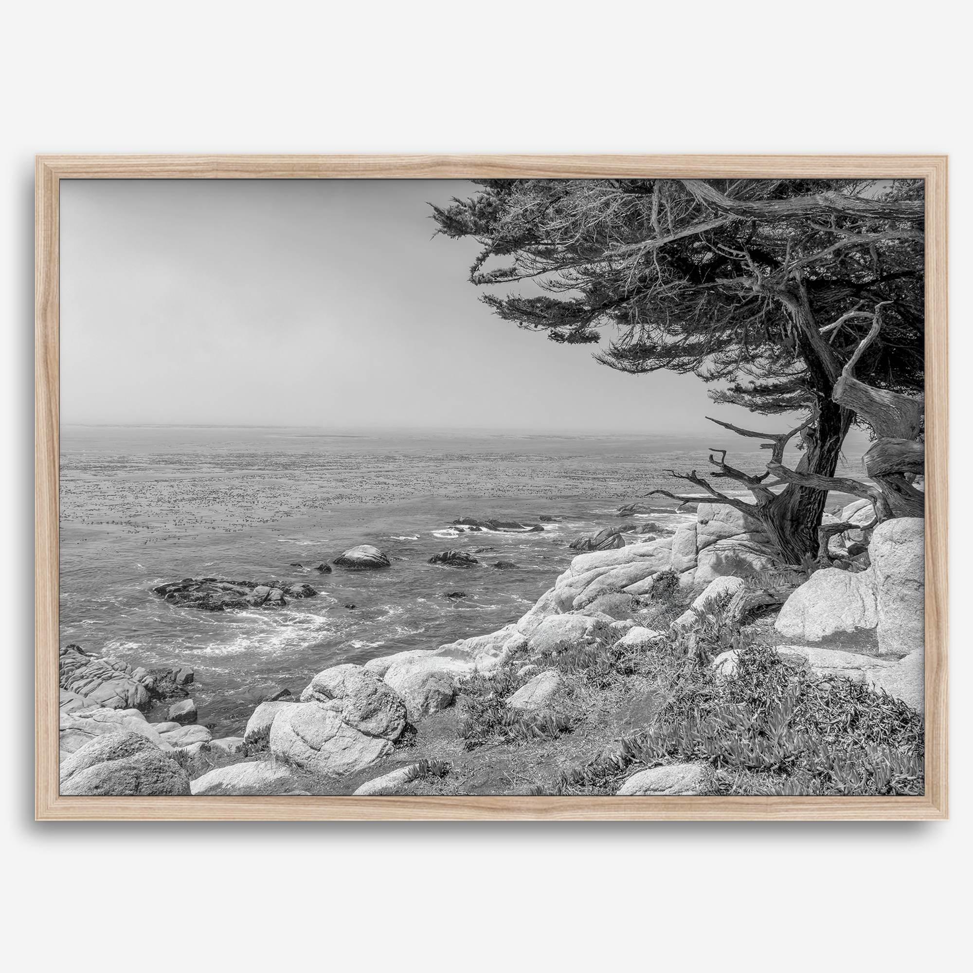 Black and white coastal art featuring Pebble Beach’s rocky shoreline and ocean view.