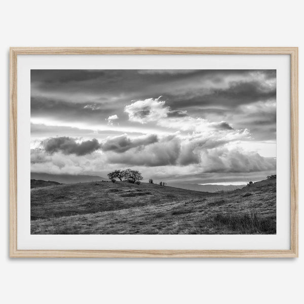 Moody landscape art of Sierra Vista Preserve with a lone tree and dramatic clouds in black and white.