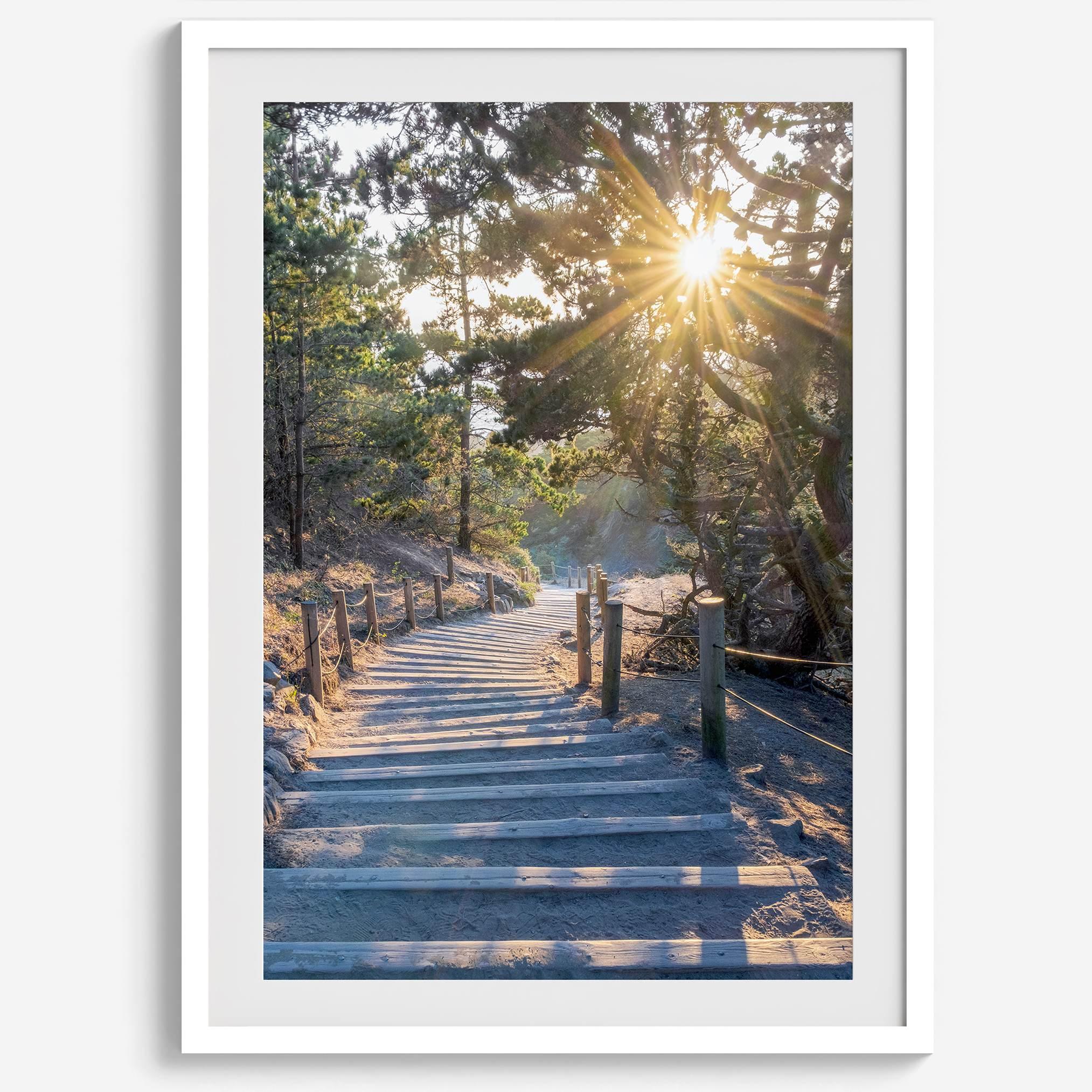 A fine art coastal forest sunset print from San Francisco Lands End. This wood path wall art comes framed or unframed.