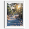 A fine art coastal forest sunset print from San Francisco Lands End. This wood path wall art comes framed or unframed.