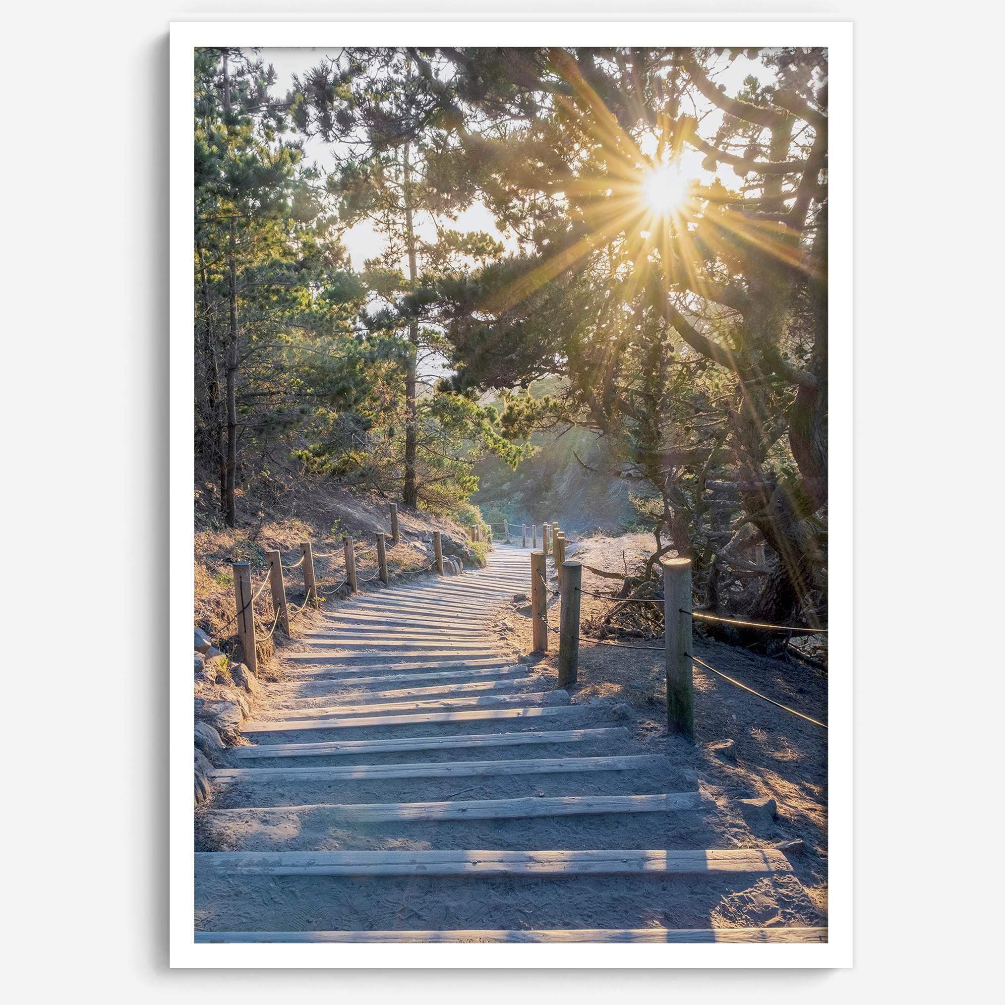 A fine art coastal forest sunset print from San Francisco Lands End. This wood path wall art comes framed or unframed.