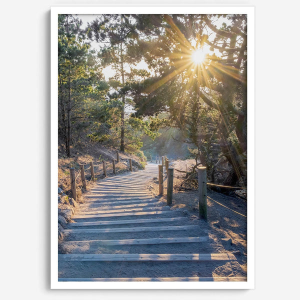 A fine art coastal forest sunset print from San Francisco Lands End. This wood path wall art comes framed or unframed.