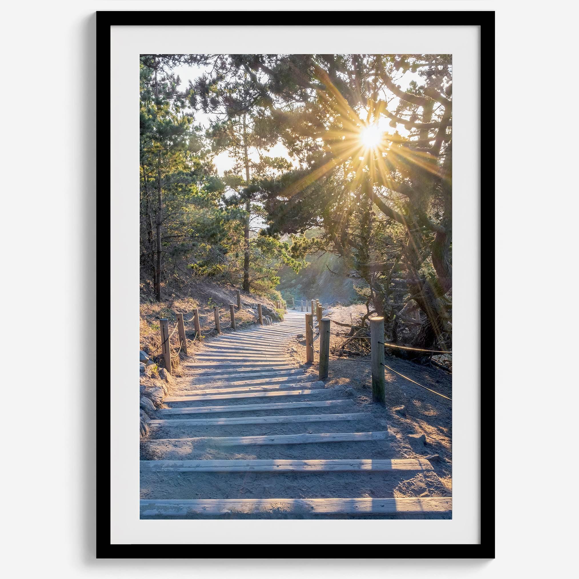 A fine art coastal forest sunset print from San Francisco Lands End. This wood path wall art comes framed or unframed.