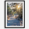 A fine art coastal forest sunset print from San Francisco Lands End. This wood path wall art comes framed or unframed.