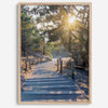 A fine art coastal forest sunset print from San Francisco Lands End. This wood path wall art comes framed or unframed.