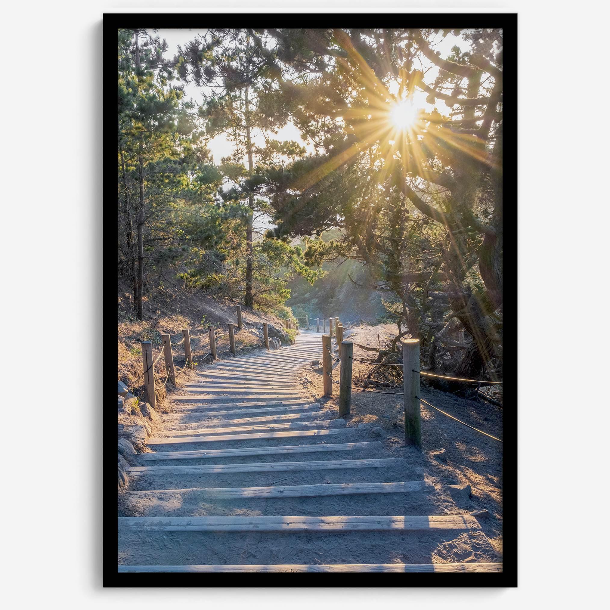 A fine art coastal forest sunset print from San Francisco Lands End. This wood path wall art comes framed or unframed.