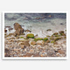 A framed aerial print of a beautiful beach in Pacific Grove, California, near Monterey. This breathtaking fine art aerial photography print captures the awe-inspiring beauty of the California coast.