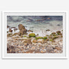 A framed aerial print of a beautiful beach in Pacific Grove, California, near Monterey. This breathtaking fine art aerial photography print captures the awe-inspiring beauty of the California coast.