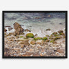A framed aerial print of a beautiful beach in Pacific Grove, California, near Monterey. This breathtaking fine art aerial photography print captures the awe-inspiring beauty of the California coast.