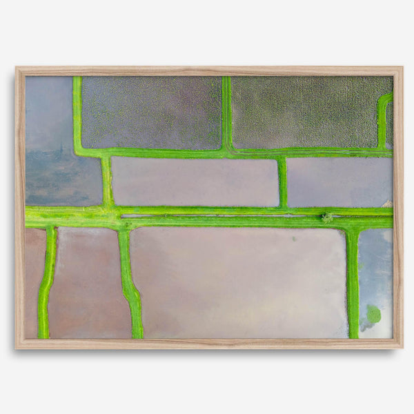 Aerial view of colorful taro field patchwork in Hanalei, Hawaii. This captivating fine art print offers a unique modern perspective, perfect for sparking conversation and adding a touch of nature's beauty to your home or office.