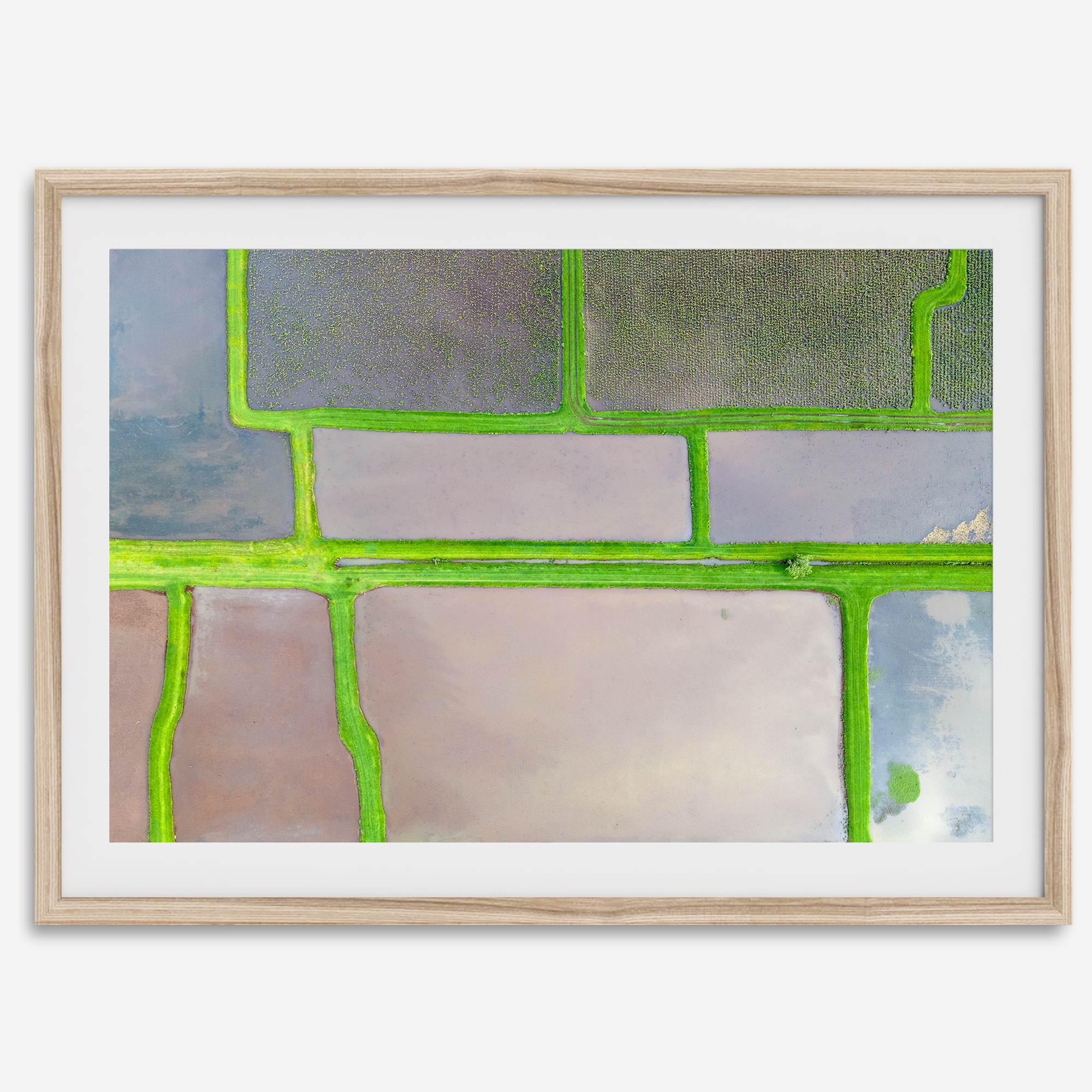 Aerial view of colorful taro field patchwork in Hanalei, Hawaii. This captivating fine art print offers a unique modern perspective, perfect for sparking conversation and adding a touch of nature's beauty to your home or office.