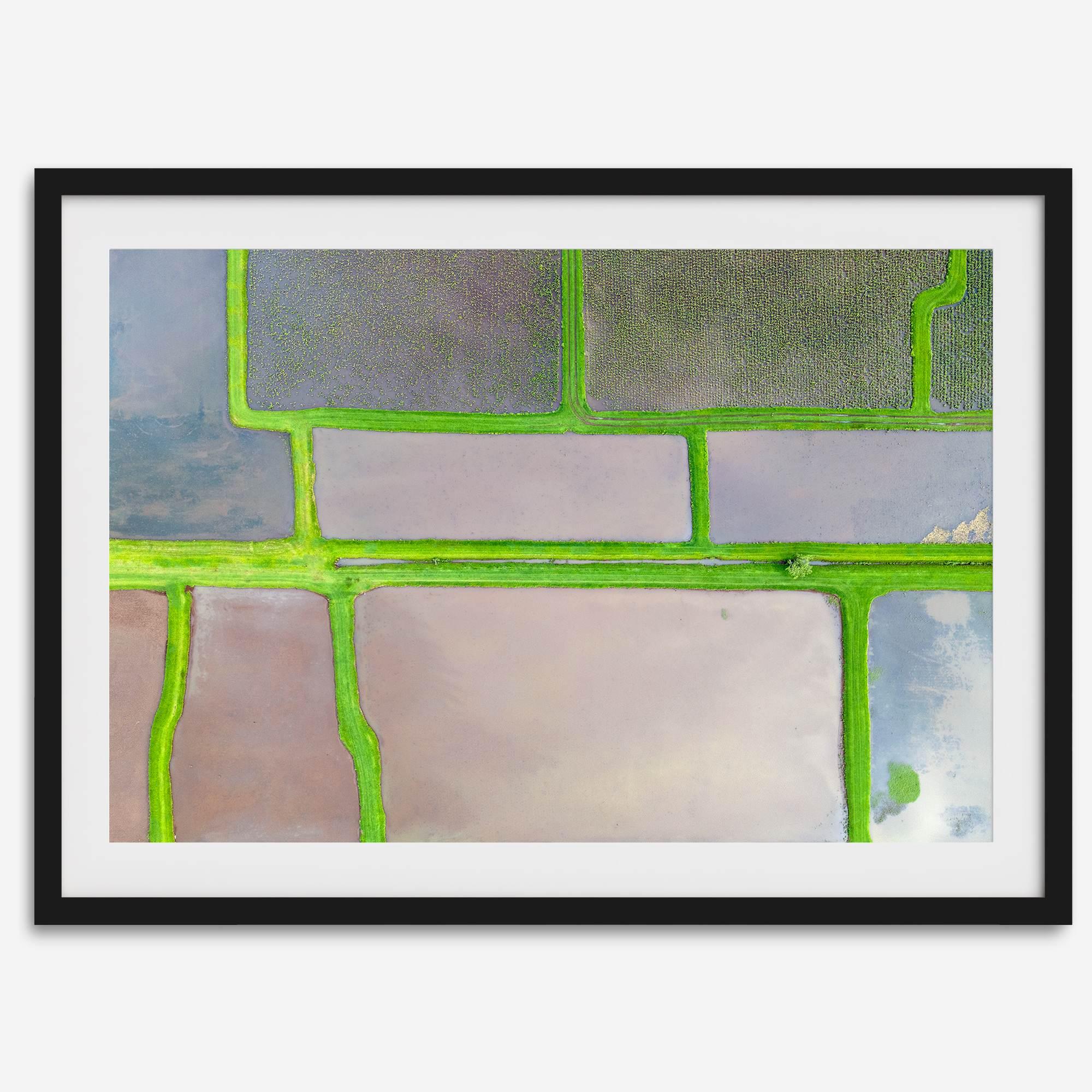 Aerial view of colorful taro field patchwork in Hanalei, Hawaii. This captivating fine art print offers a unique modern perspective, perfect for sparking conversation and adding a touch of nature's beauty to your home or office.