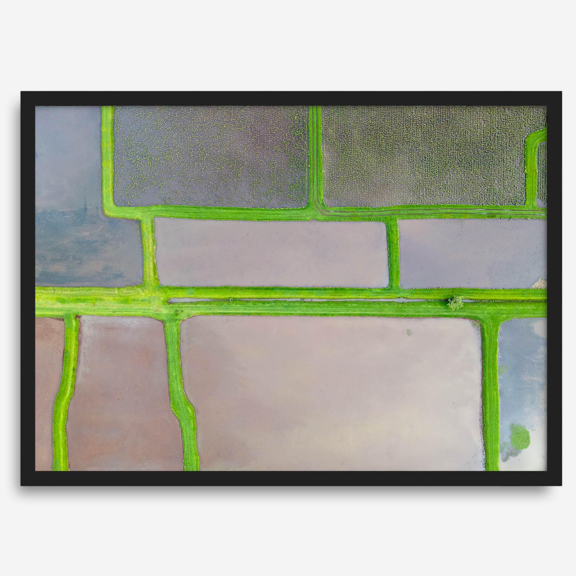 Aerial view of colorful taro field patchwork in Hanalei, Hawaii. This captivating fine art print offers a unique modern perspective, perfect for sparking conversation and adding a touch of nature's beauty to your home or office.