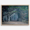 Cypress tree forest path in Seal Cove, California with misty light and rustic wooden fence