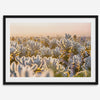 Sunset Cholla Cactus Garden fine art print from Joshua Tree National Park, featuring glowing cacti in golden light.
