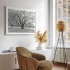 A framed or unframed fall print of a huge magical tree in Paris. This stunning Parisian tree wall art captures the serene beauty of the Parisian gardens in Autumn.