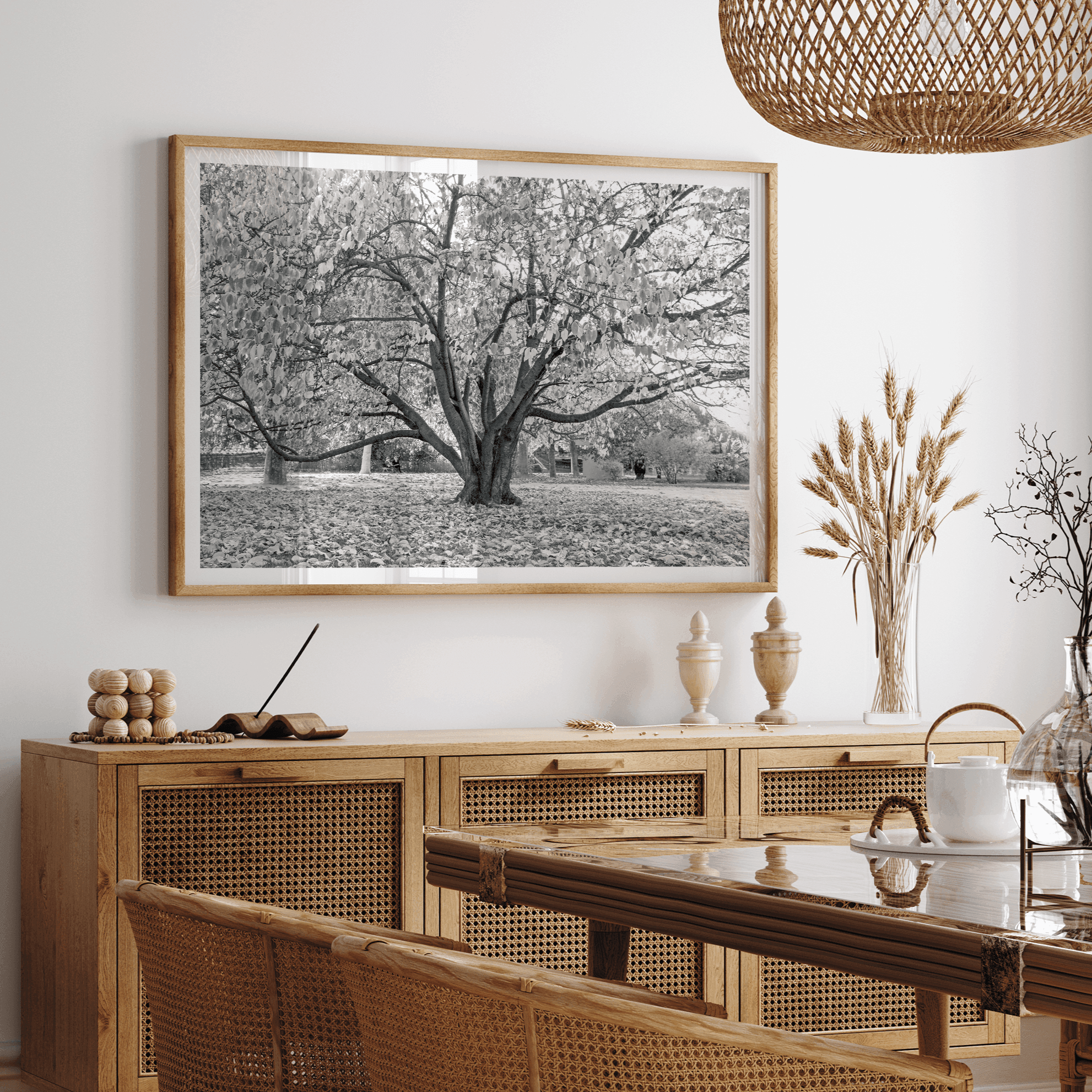 A framed or unframed fall print of a huge magical tree in Paris. This stunning Parisian tree wall art captures the serene beauty of the Parisian gardens in Autumn.