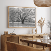 A framed or unframed fall print of a huge magical tree in Paris. This stunning Parisian tree wall art captures the serene beauty of the Parisian gardens in Autumn.