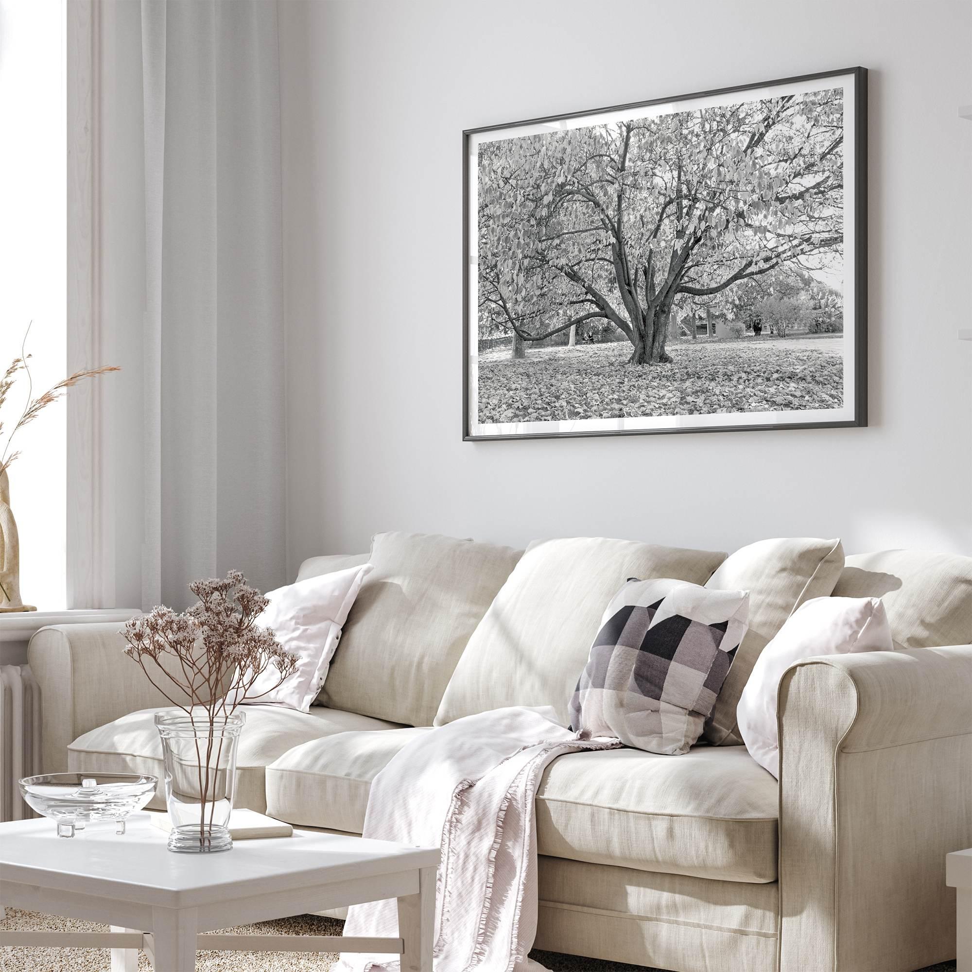 A framed or unframed fall print of a huge magical tree in Paris. This stunning Parisian tree wall art captures the serene beauty of the Parisian gardens in Autumn.