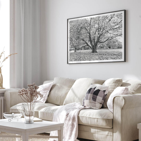 A framed or unframed fall print of a huge magical tree in Paris. This stunning Parisian tree wall art captures the serene beauty of the Parisian gardens in Autumn.