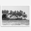 Black and white photo of a palm tree-covered Caribbean island in the Dominican Republic – tropical fine art photography print