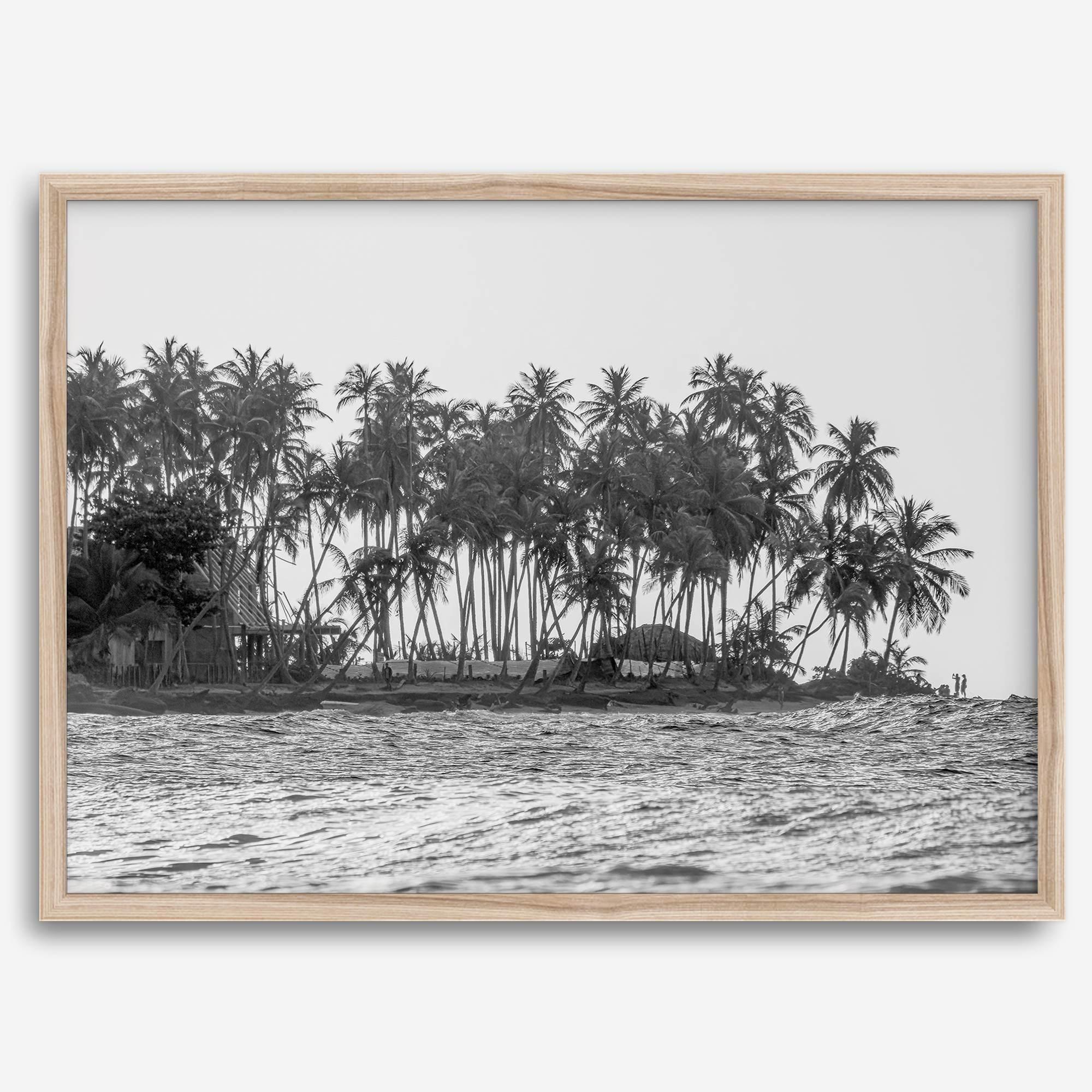 Black and white photo of a palm tree-covered Caribbean island in the Dominican Republic – tropical fine art photography print