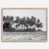 Black and white photo of a palm tree-covered Caribbean island in the Dominican Republic – tropical fine art photography print