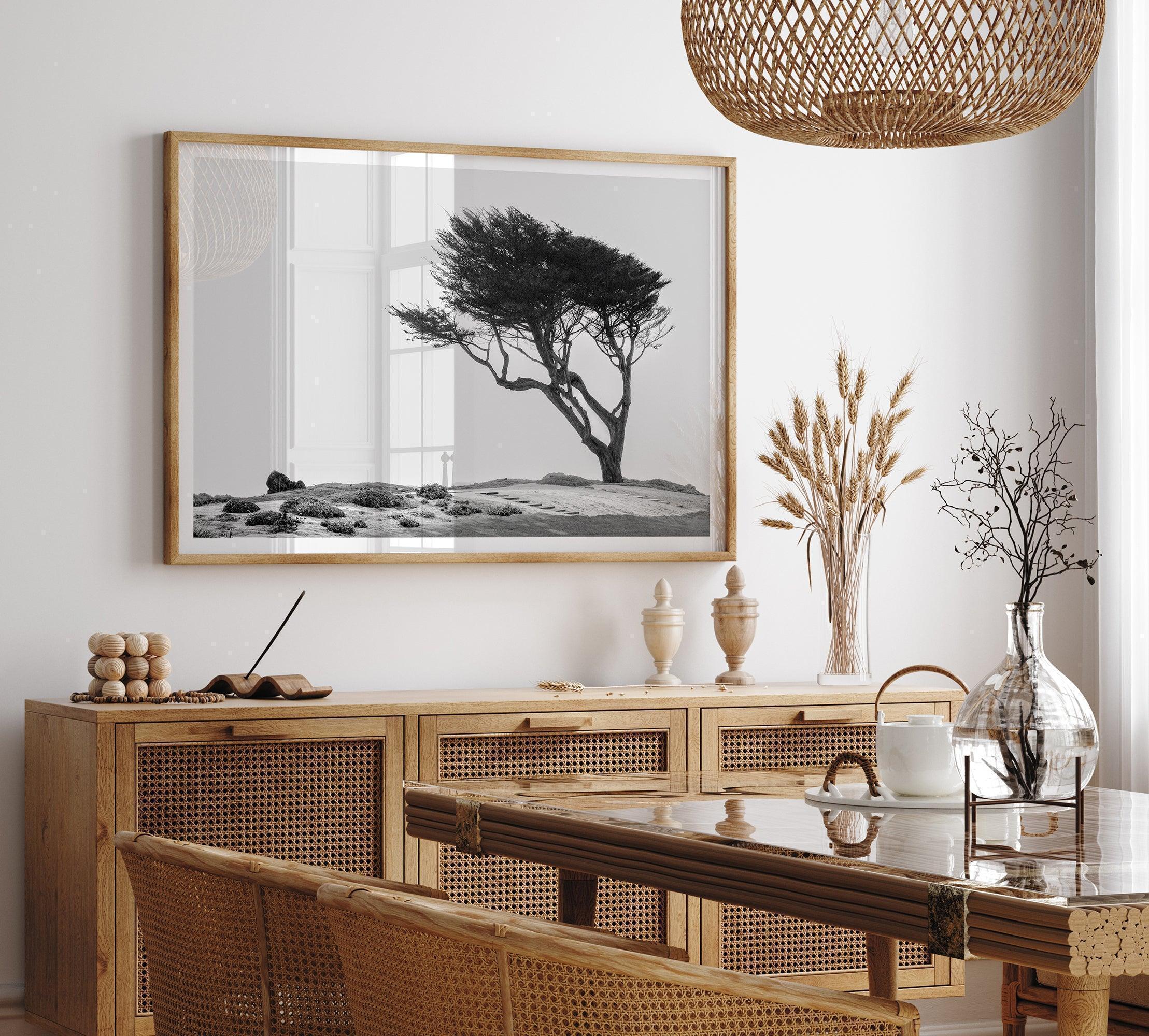 Black-and-white photograph of a windswept cypress tree on a rugged coastal bluff with a minimalist design.